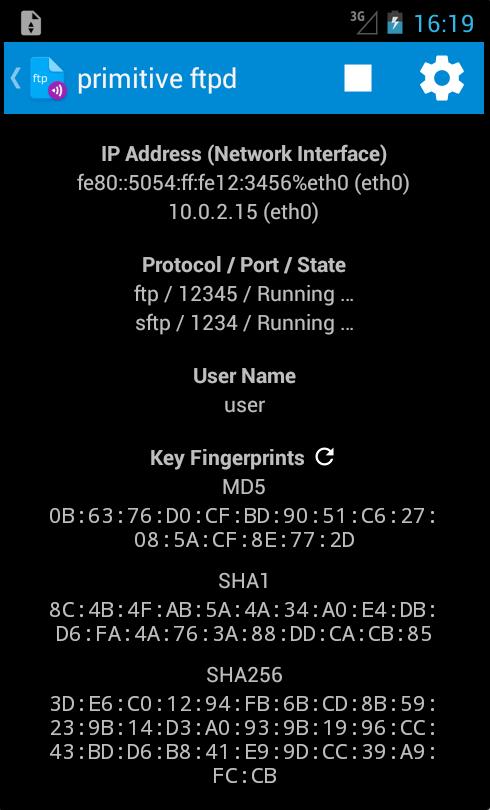 Primitive FTPd