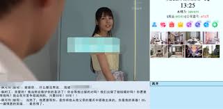 아시아 아들의 후속 게임 플레이 가이드