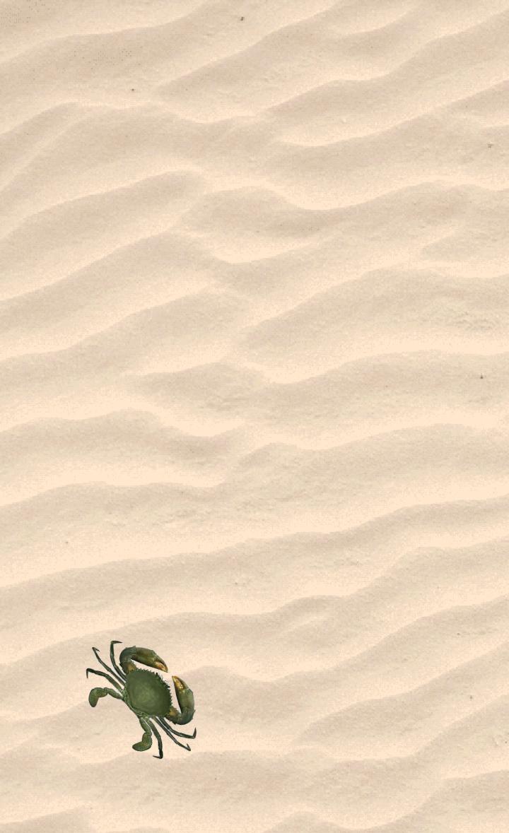 Crab simulator