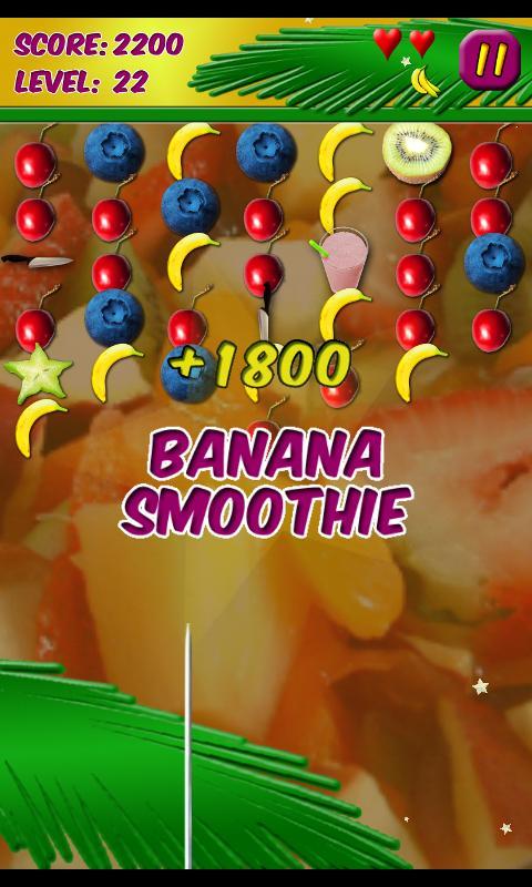 Fruit Kebab