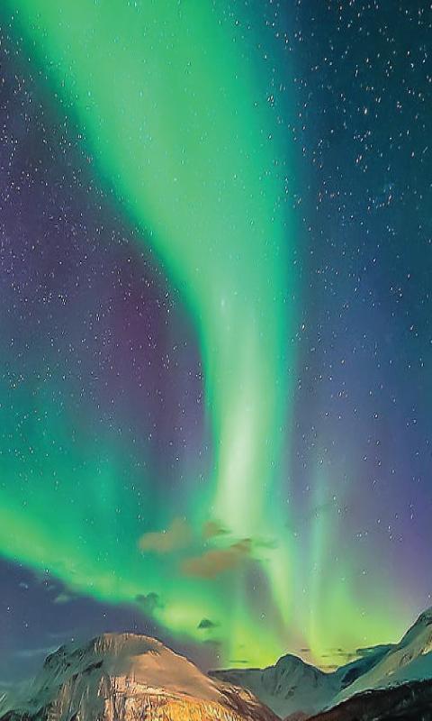 Auroras Borealis Wallpaper