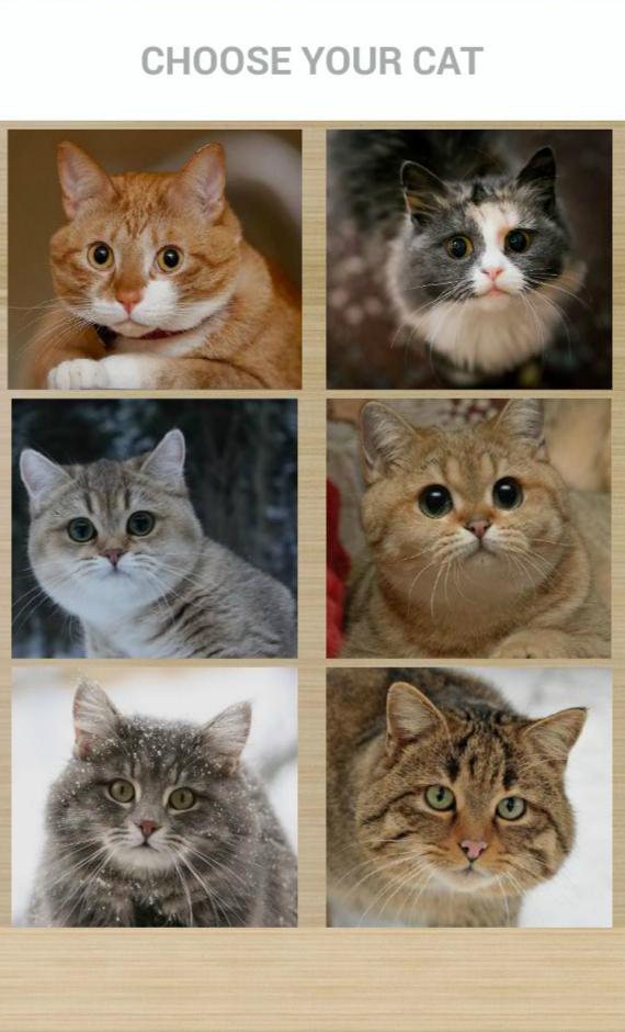 Cat assistant simulator